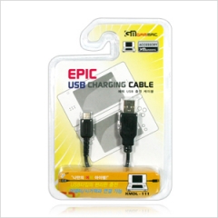 NDSL 에픽 USB 충전 케이블
